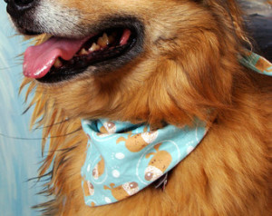 adorable dog bandanas