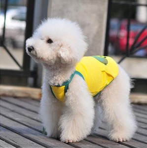 about cheap cute dog clothes