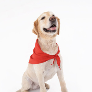 best cool dog bandanas