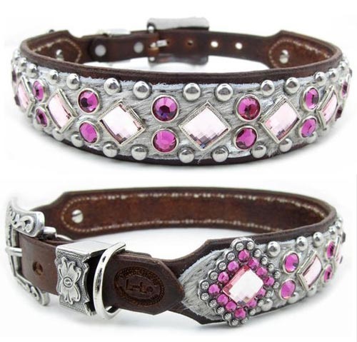 female dog collars