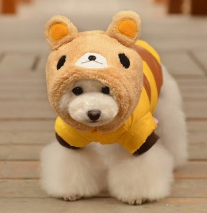 toy dog clothes