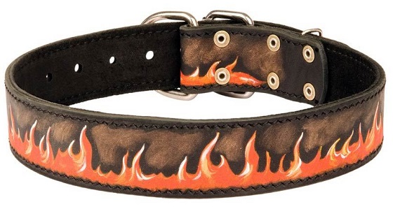 cool dog collars