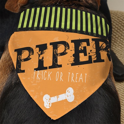 custom printed pet bandanas