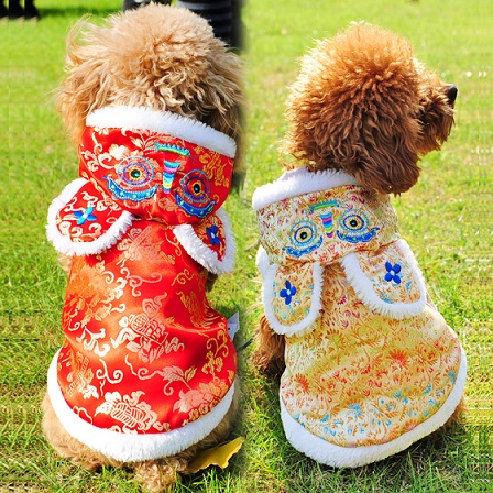 Choosing Cute And Adorable Pet Clothes 