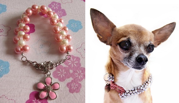 cute small dog collars