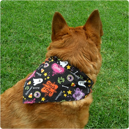 bulk dog bandanas