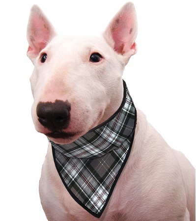 pet bandanas bulk