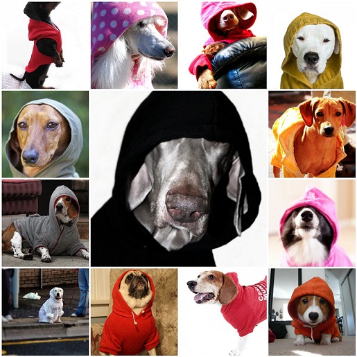 custom dog hoodies