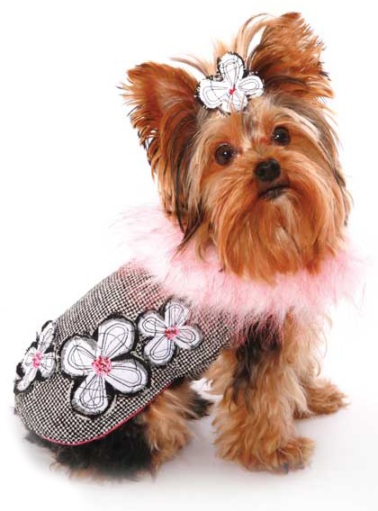 Things To Consider In Choosing Small Dog Clothes | Dog Bandanas